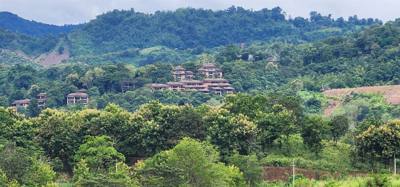 Our tour guide says “there isn't much to buy here".  Everyone walks out with bags and bags of tea.  The Choui Fong Tea P
