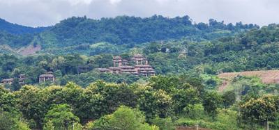Our tour guide says “there isn't much to buy here".  Everyone walks out with bags and bags of tea.  The Choui Fong Tea P