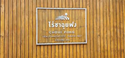 Our tour guide says “there isn't much to buy here".  Everyone walks out with bags and bags of tea.  The Choui Fong Tea P