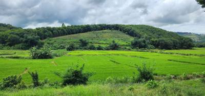 Travel photo