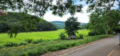 Travel photo