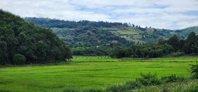 Travel photo