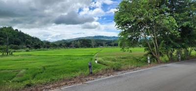 Travel photo