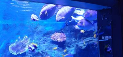 Travel photo