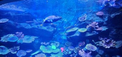 Travel photo