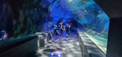 After our jaunt to Bangkok Harley Davidson we took
the BTS Skytrain down to Siam Station and went to the Sea Life aquari