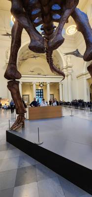 It's difficult to get through more than half of the Field Museum each time we come.  But so much cool stuff!