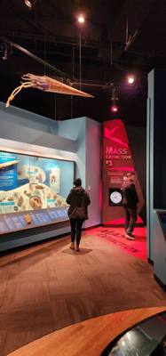 It's difficult to get through more than half of the Field Museum each time we come.  But so much cool stuff!