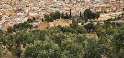 Views from the South Tower in Fes.  You can see all three parts off the city from here.