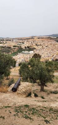 Views from the South Tower in Fes.  You can see all three parts off the city from here.