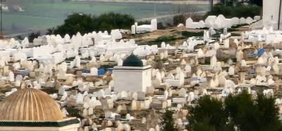 Views from the South Tower in Fes.  You can see all three parts off the city from here.