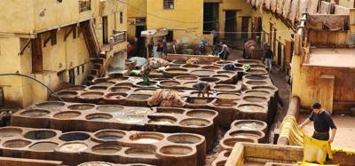 The visit to the leather area of the Fes Medina market was interesting.  They cure and dye the leather in these big pots