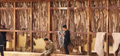 The visit to the leather area of the Fes Medina market was interesting.  They cure and dye the leather in these big pots
