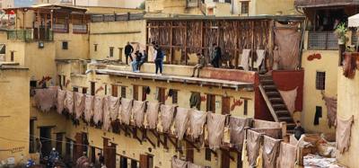 The visit to the leather area of the Fes Medina market was interesting.  They cure and dye the leather in these big pots