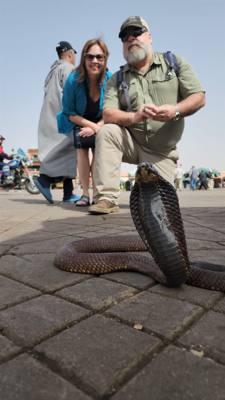 Snake charmer in the Medina of Marrakech.  I let him have my phone for a minute lol.
