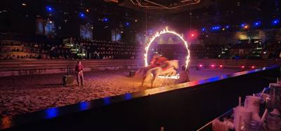 Ended the last night in the Ozarks/Branson at Dolly's Stampede.  Front row seats right by the action too.  Don't be jell