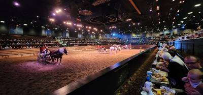 Ended the last night in the Ozarks/Branson at Dolly's Stampede.  Front row seats right by the action too.  Don't be jell