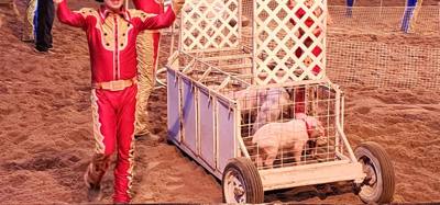 Ended the last night in the Ozarks/Branson at Dolly's Stampede.  Front row seats right by the action too.  Don't be jell