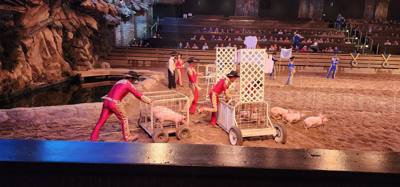 Ended the last night in the Ozarks/Branson at Dolly's Stampede.  Front row seats right by the action too.  Don't be jell