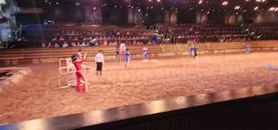 Ended the last night in the Ozarks/Branson at Dolly's Stampede.  Front row seats right by the action too.  Don't be jell