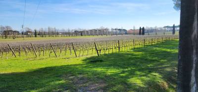 Visited the Fattoria del Teso winery.  Learned a little.  Ate a little.  Drank a little.  Great little stop and beautifu