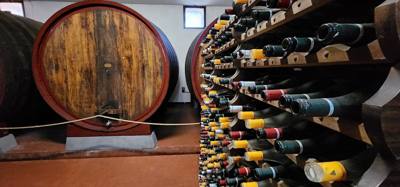 Visited the Fattoria del Teso winery.  Learned a little.  Ate a little.  Drank a little.  Great little stop and beautifu