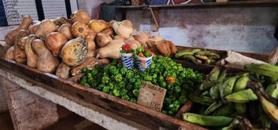 Part 2 of our Havana, Cuba walking tour.  So much to see.  The farmers market was sensory overload.  The smell of fresh 