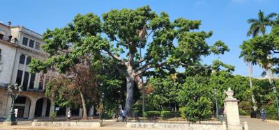 Walking tour of Havana, Cuba with Yane.  Lots of history and things to see and learn about.  Havana is a little rough ar