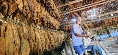 Day trip to Vinales. Got to hang out with some very cool and hard working farmers. Myself and another gal got dehydrat