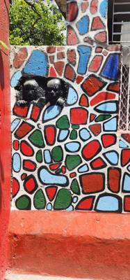 Next on the art day visits was an area with afro-cuban art.  Much inspired by the Cuban version of Santeria.  Very inter