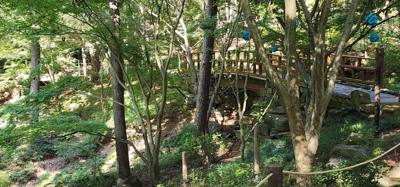 Not the best botanical garden I've been to but if you go eat queso fundido and al pastor tacos at Diablos Tacos it's a g