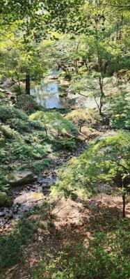 Travel photo