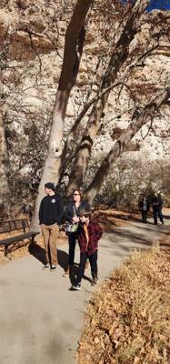 First stop of our visit to Arizona sites today... Montezuma Castle.