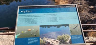 Second stop today on the discover Arizona train... Montezuma's Well.