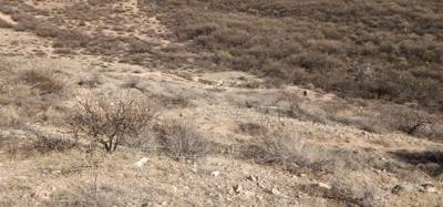 Last excursion of the day...Tuzigoot Ruins.