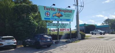 First stop on our first full day in the Florida Keys.  The Turtle Hospital.  Get to learn a thing or two, experience som