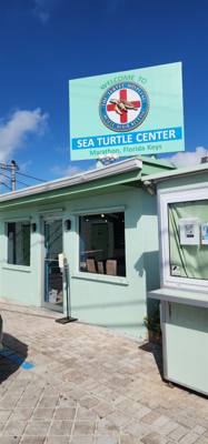 First stop on our first full day in the Florida Keys.  The Turtle Hospital.  Get to learn a thing or two, experience som