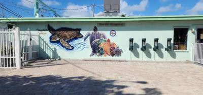 First stop on our first full day in the Florida Keys.  The Turtle Hospital.  Get to learn a thing or two, experience som