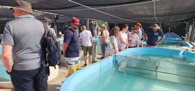 First stop on our first full day in the Florida Keys.  The Turtle Hospital.  Get to learn a thing or two, experience som