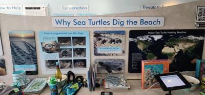 First stop on our first full day in the Florida Keys.  The Turtle Hospital.  Get to learn a thing or two, experience som