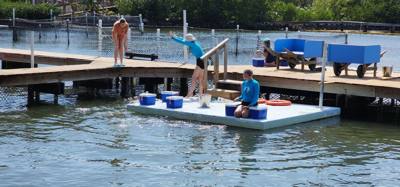 Second stop today.  The Dolphin Research Center.  Make sure you look at the event schedule when you first get here.  The