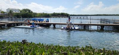 Second stop today.  The Dolphin Research Center.  Make sure you look at the event schedule when you first get here.  The