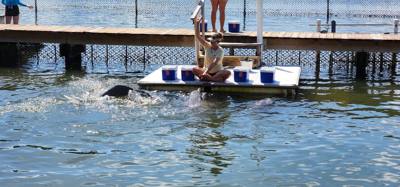 Second stop today.  The Dolphin Research Center.  Make sure you look at the event schedule when you first get here.  The