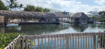 Second stop today.  The Dolphin Research Center.  Make sure you look at the event schedule when you first get here.  The