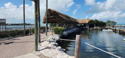 Second stop today.  The Dolphin Research Center.  Make sure you look at the event schedule when you first get here.  The