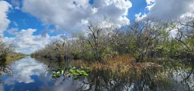 First stop today... Coopertown Airboat Tours.  Fun stuff!