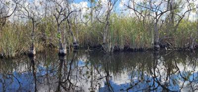 First stop today... Coopertown Airboat Tours.  Fun stuff!