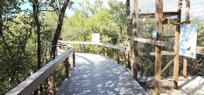 Last excursion of the day.  We stopped at a Wild Bird Sanctuary that operated purely on donations.  If you're in the are