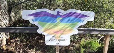 Last excursion of the day.  We stopped at a Wild Bird Sanctuary that operated purely on donations.  If you're in the are