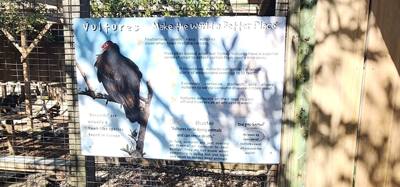 Last excursion of the day.  We stopped at a Wild Bird Sanctuary that operated purely on donations.  If you're in the are